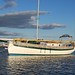 Elizabeth Cutter Photo 16