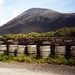 Joseph Conn Photo 13