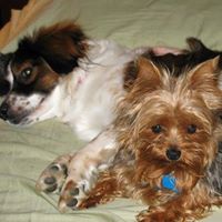 Mary Wiseman Photo 8