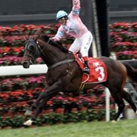 Vincent Li Photo 18