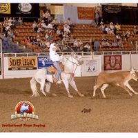 Debbie Fabrizio Photo 4