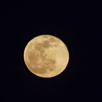 Robert Grigg Photo 45