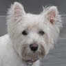 Nancy Gandy Photo 6