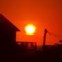 Susan Barron Photo 25