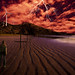Ray Rains Photo 9