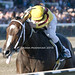 Rachel Lay Photo 16