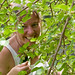Angie Bush Photo 7