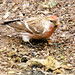 Keith Taylor Photo 63