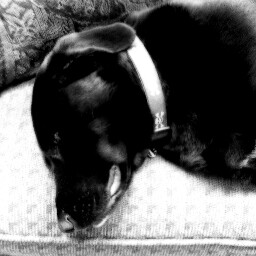 Patti Stober Photo 4