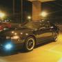 Matthew Blevins Photo 22