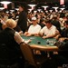 David Nguyen Photo 18