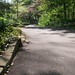 Joseph Adkins Photo 11