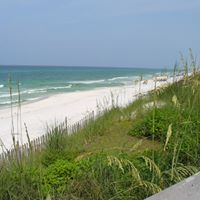 Suzanne Whitt Photo 7