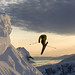 Billy Poole Photo 8