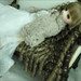 Angela Bright Photo 35