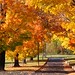 Kimberly Fall Photo 13
