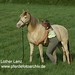 Amber Cavallo Photo 7