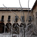 Janet Castle Photo 20