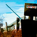 Kelly Nolan Photo 41