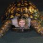 Heather Grossman Photo 36