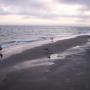 Richard Sisk Photo 25