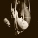 Paul Harrell Photo 25