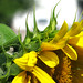 Shelly Deforest Photo 2