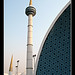 Syed Baksh Photo 14