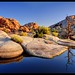 Joshua Park Photo 15