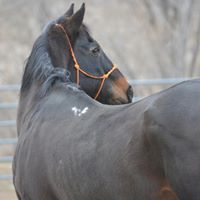 Beth Waite Photo 9
