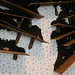 Julie Greenberg Photo 17