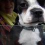 Debra Leavitt Photo 9