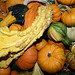 Kristi Jacobs Photo 9