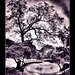 Michael Haggin Photo 7