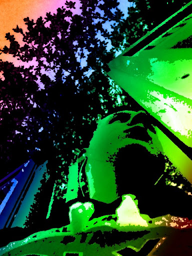 Mark Chandler Photo 8