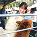 Joy Fuentes Photo 9