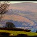 Patricia Hedges Photo 24