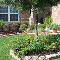 Debra Tolbert Photo 4