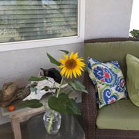 Susan Davenport Photo 27