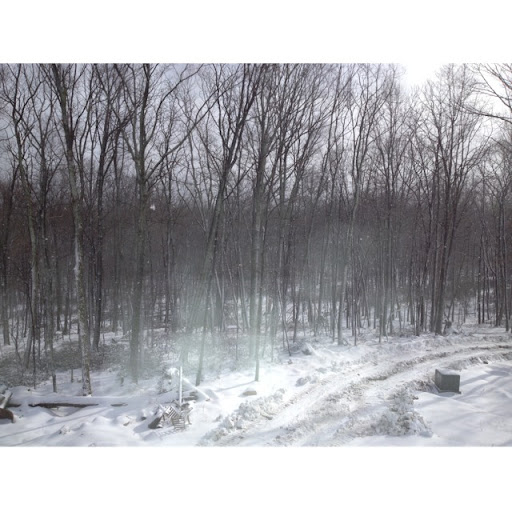 Tammy Reeder Photo 2