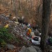 Lynn Job Photo 6