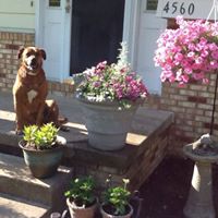 Bonnie Prosser Photo 12