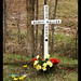 Nancy Waller Photo 14