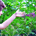 Courtney Meyer Photo 16