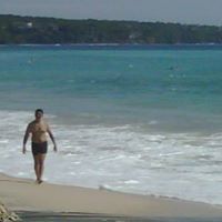 Robert Plan Photo 9