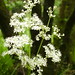Deborah Wilds Photo 13