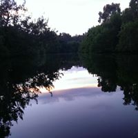 Anthony Dinh Photo 37