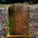 Margaret Proctor Photo 19
