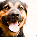 Mark Soliman Photo 24