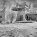 Dennis Graham Photo 33